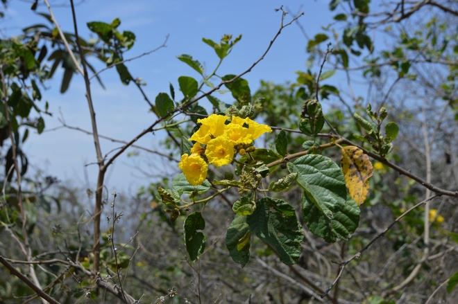 Photo credit: Oliver Whaley