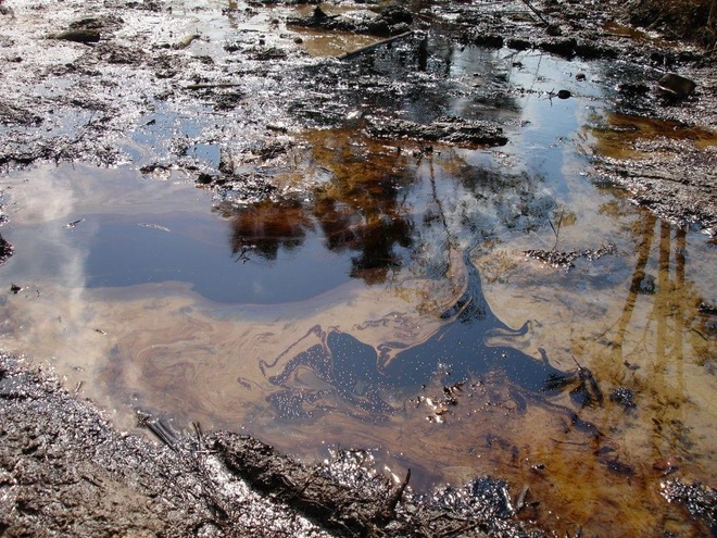 Chevrontoxicwastenicolapeel