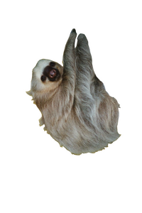 India Gurukula Project Page