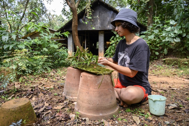 Azadi cleaning algae off an orchid