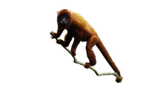 Red Howler Monkey Kids Cut Out